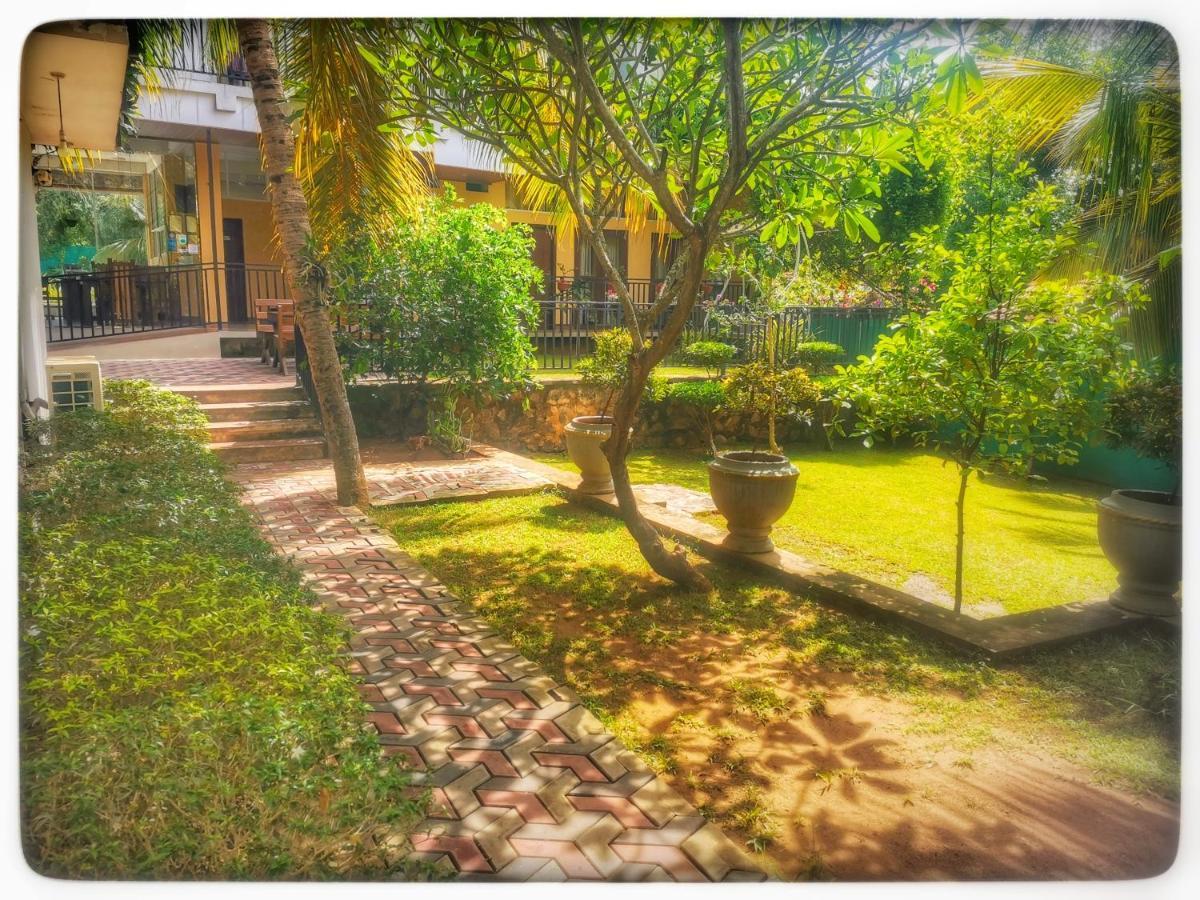 Golden Wild - Yala Hotel Tissamaharama Exterior foto