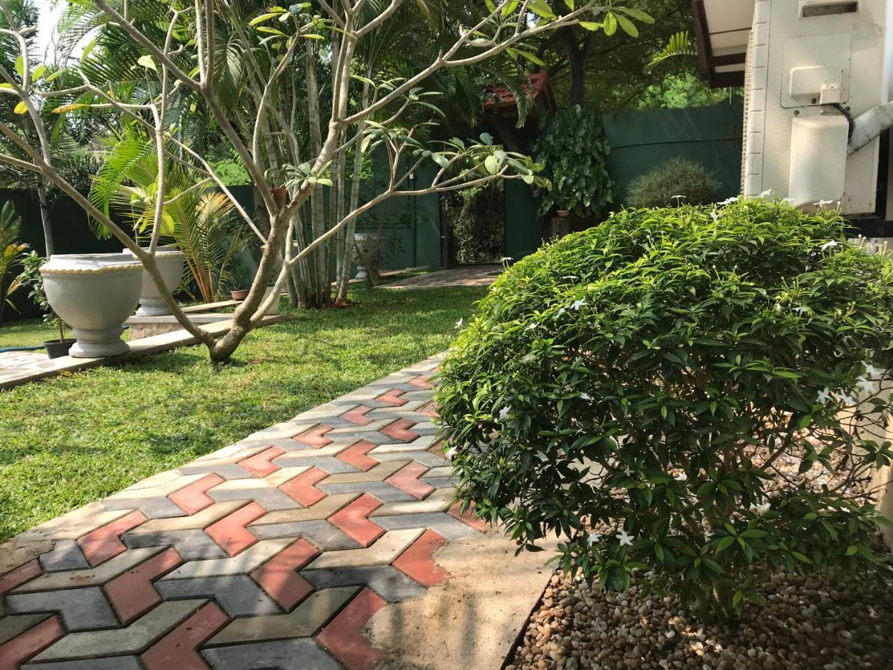 Golden Wild - Yala Hotel Tissamaharama Exterior foto